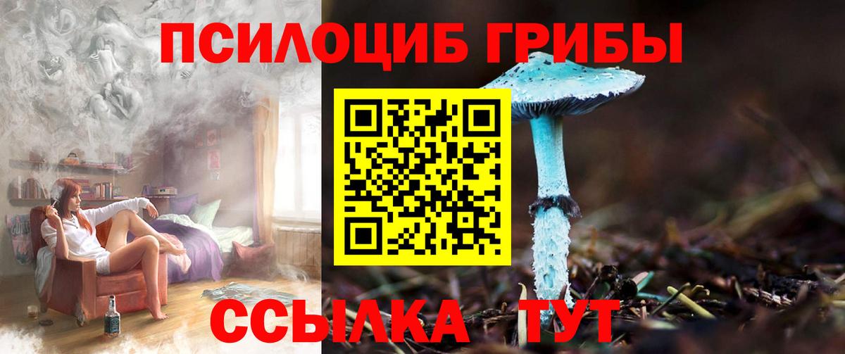 Псилоцибиновые грибы прущие грибы  Вход с VPN  Лесосибирск  Галлюциногенные грибы Psilocybine cubensis 