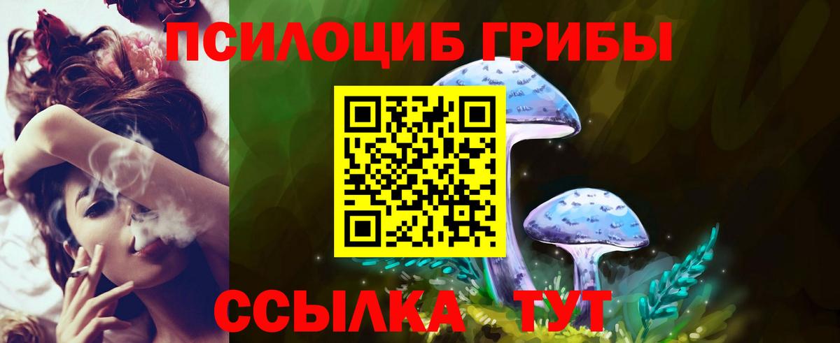 Галлюциногенные грибы Magic Shrooms Лесосибирск